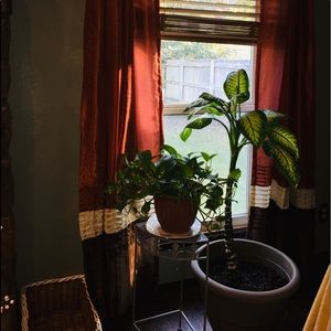 Burnt Orange , brown and tan curtains